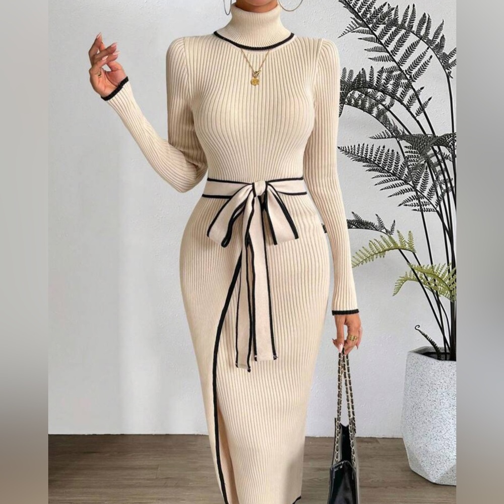 PASSION Contrast Binding Turtleneck Belted Sweater Dress - Picture 12 of 15